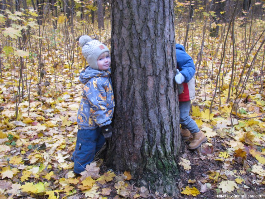 Прогулка в осенний лес — Интересное обо всем: поздравления
