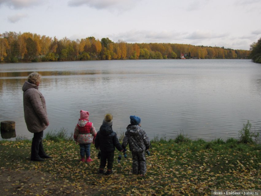 Прогулка в осенний лес — Интересное обо всем: поздравления