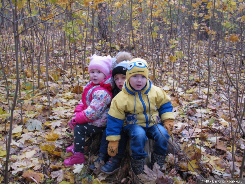 Прогулка в осенний лес — Интересное обо всем: поздравления