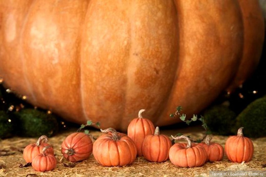 Сказочная миниатюра с характером от Caroline McFarlane-Watts