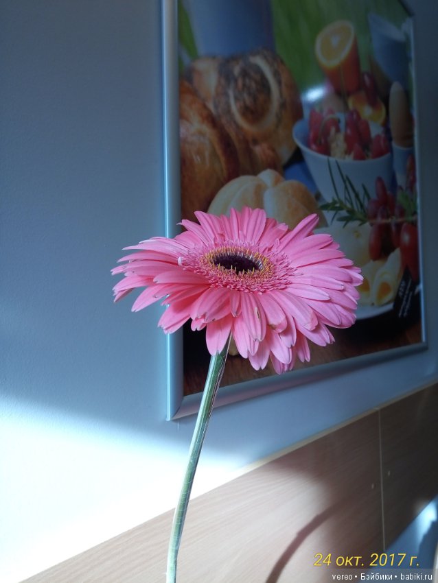 Посылка за кордон. Радость от недорогой отправки (фото 3)