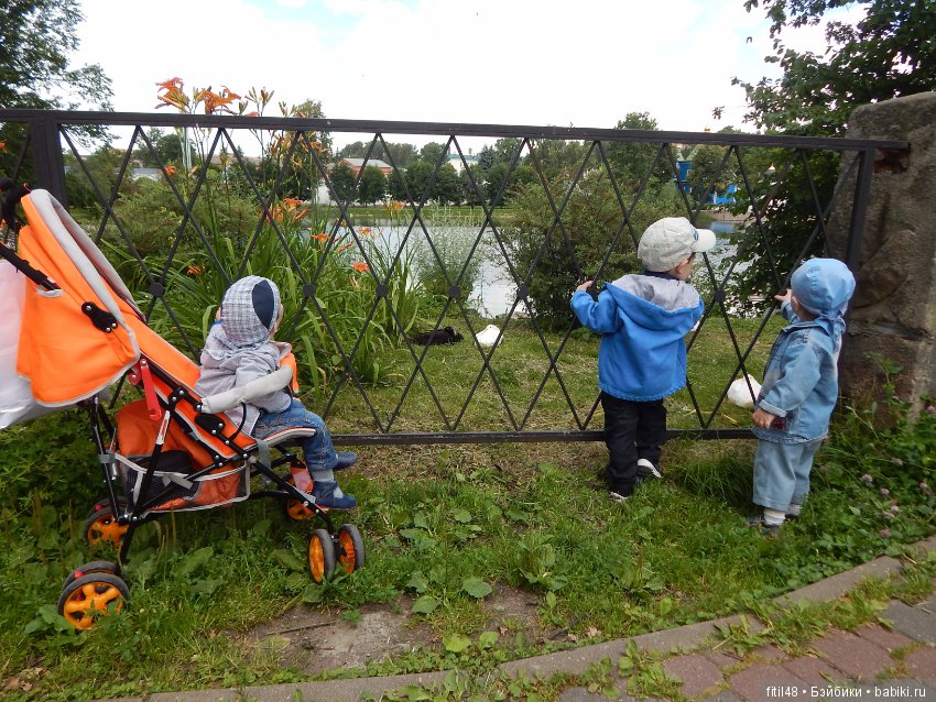 Мы пришли с тобой в зоопарк, дружок (фото 8)