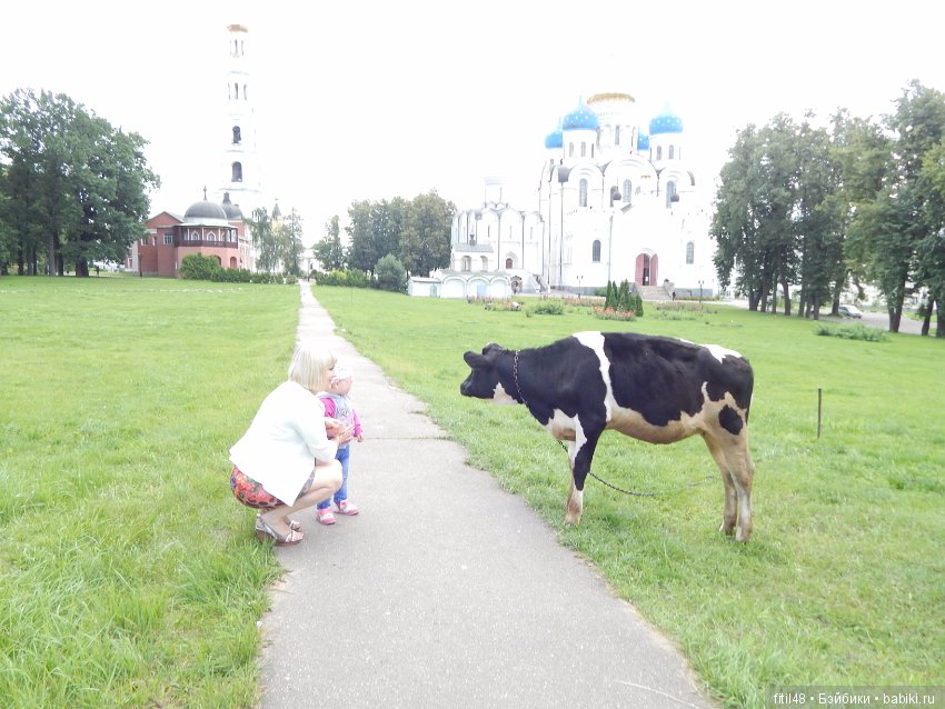 Мы пришли с тобой в зоопарк, дружок