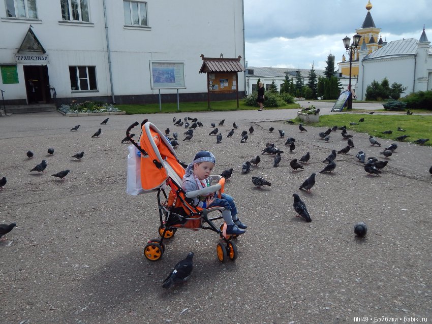 Мы пришли с тобой в зоопарк, дружок