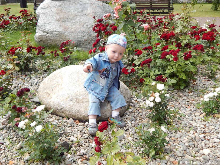 Мы пришли с тобой в зоопарк, дружок (фото 4)