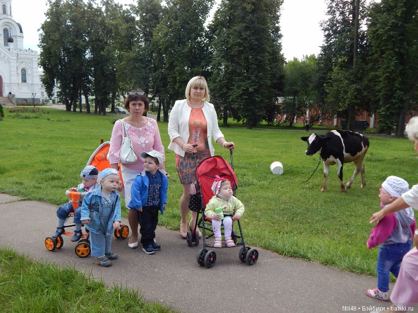 Мы пришли с тобой в зоопарк, дружок