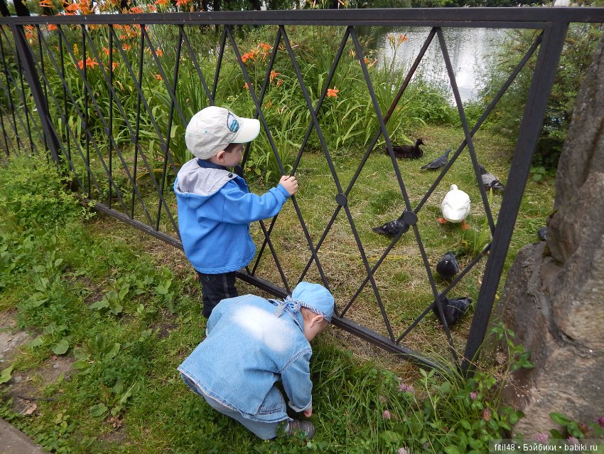 Мы пришли с тобой в зоопарк, дружок (фото 6)
