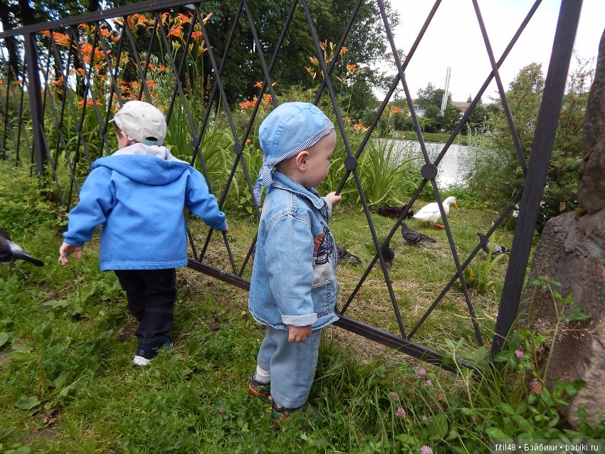 Мы пришли с тобой в зоопарк, дружок (фото 7)