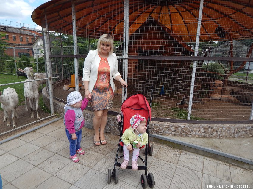 Мы пришли с тобой в зоопарк, дружок