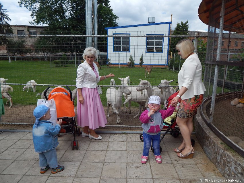 Мы пришли с тобой в зоопарк, дружок