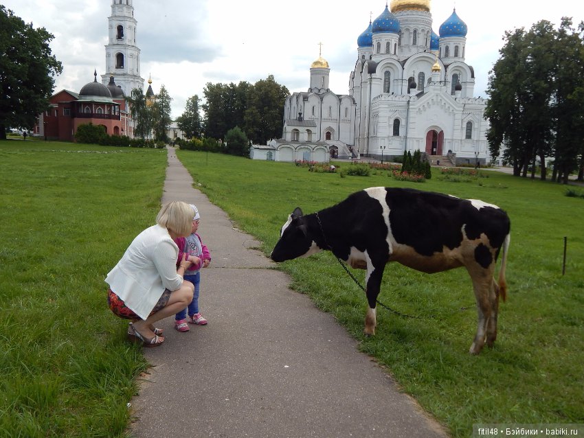 Мы пришли с тобой в зоопарк, дружок