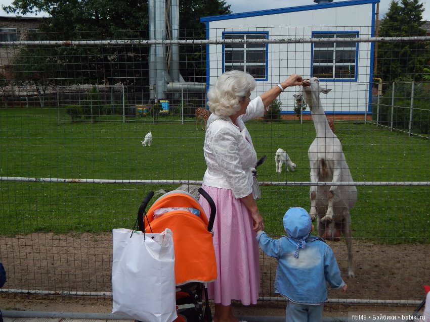 Мы пришли с тобой в зоопарк, дружок