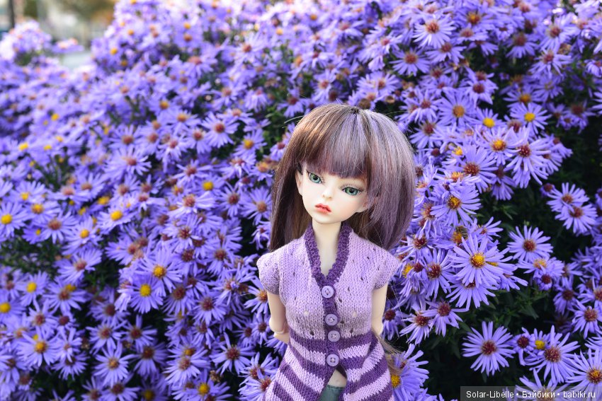 Просто осенний день — Куклы Doll Leaves (Долл Ливз): BJD (БЖД)
