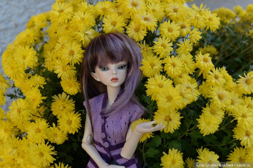 Просто осенний день — Куклы Doll Leaves (Долл Ливз): BJD (БЖД)