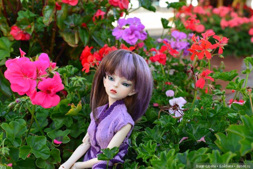 Просто осенний день — Куклы Doll Leaves (Долл Ливз): BJD (БЖД) (фото 6)