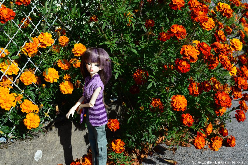 Просто осенний день — Куклы Doll Leaves (Долл Ливз): BJD (БЖД) (фото 8)