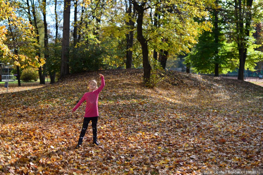 Просто осенний день — Куклы Doll Leaves (Долл Ливз): BJD (БЖД) (фото 9)