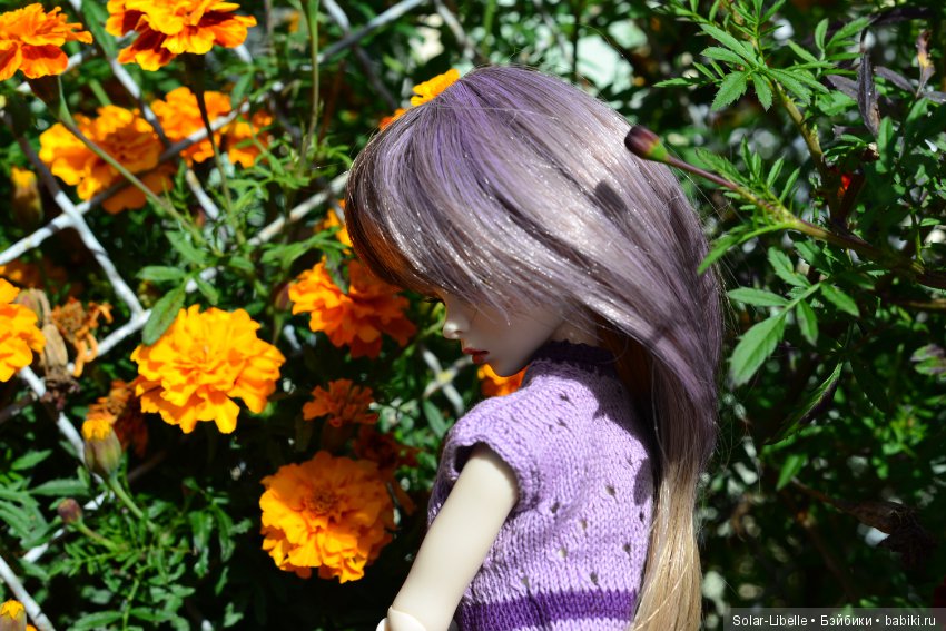 Просто осенний день — Куклы Doll Leaves (Долл Ливз): BJD (БЖД) (фото 7)