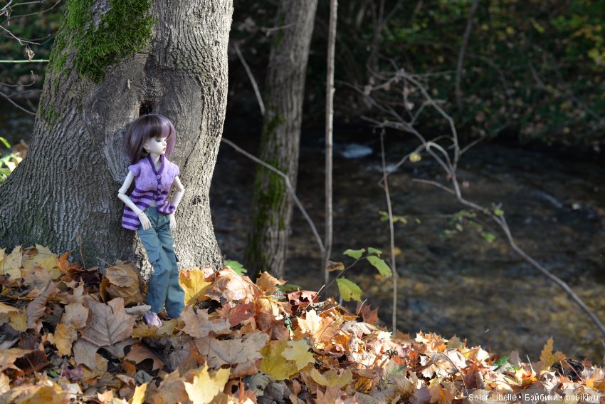 Просто осенний день — Куклы Doll Leaves (Долл Ливз): BJD (БЖД)