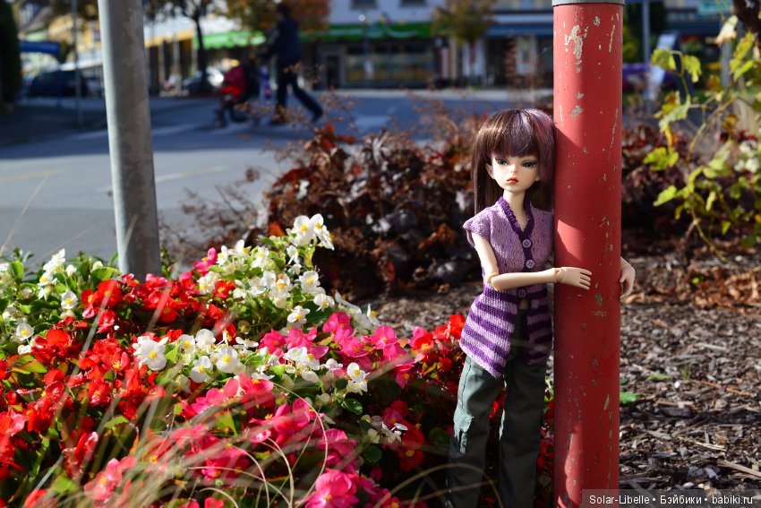 Просто осенний день — Куклы Doll Leaves (Долл Ливз): BJD (БЖД)