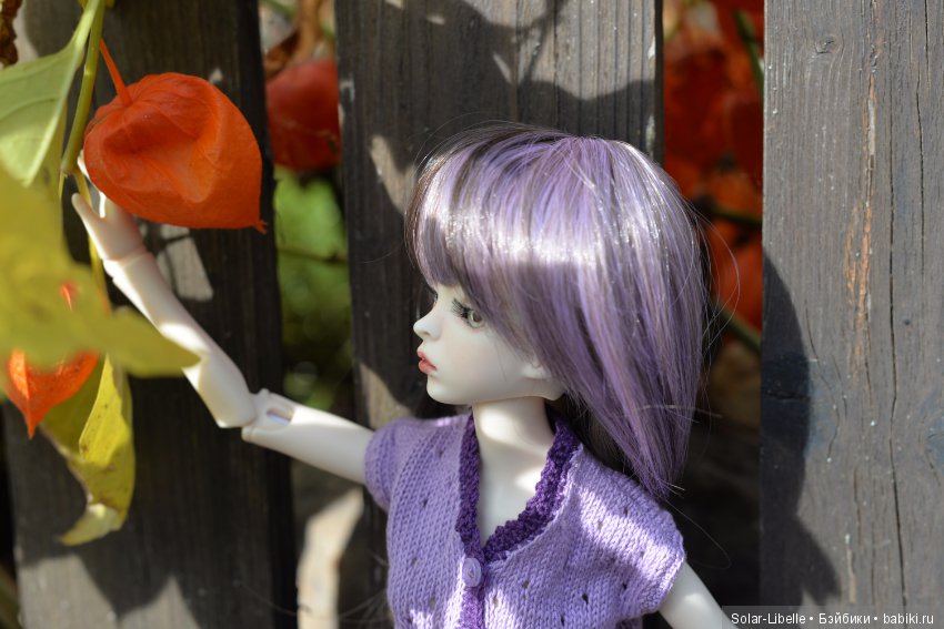 Просто осенний день — Куклы Doll Leaves (Долл Ливз): BJD (БЖД)
