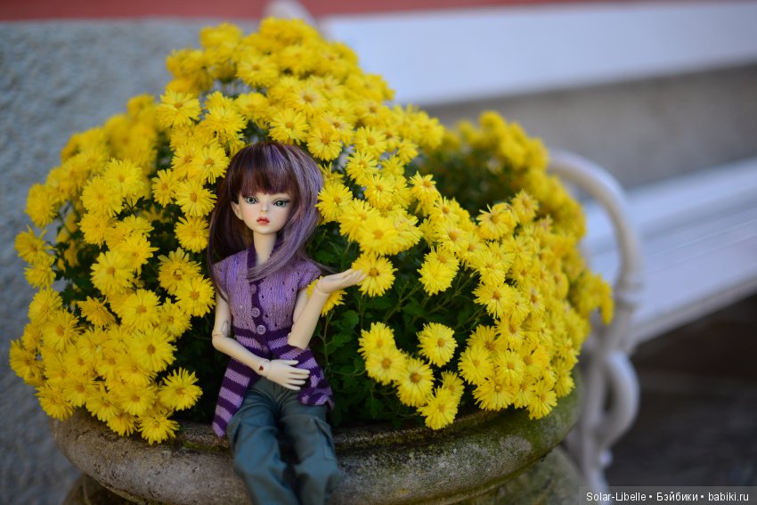 Просто осенний день — Куклы Doll Leaves (Долл Ливз): BJD (БЖД) (фото 2)