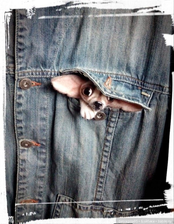 Брошечка — Валяные игрушки из шерсти: сухое валяние (фото 10)