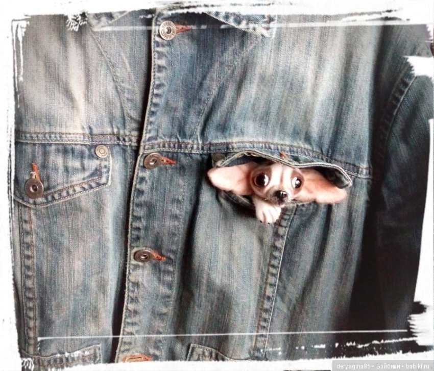 Брошечка — Валяные игрушки из шерсти: сухое валяние (фото 8)