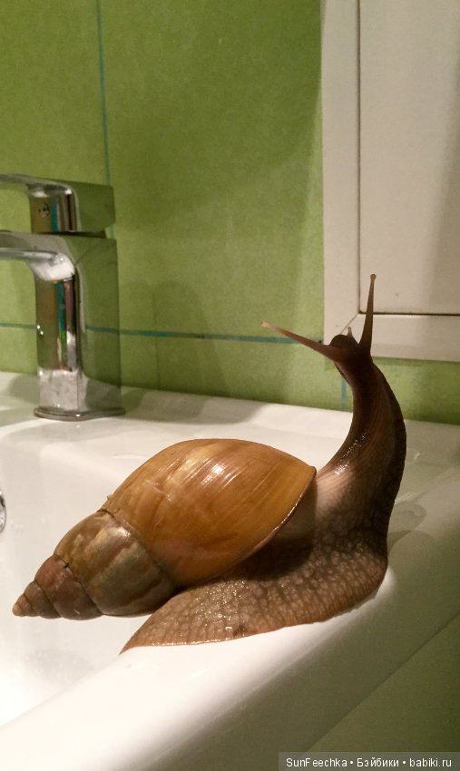 Первое знакомство: фотохудожник Ричард Паркер и его работы