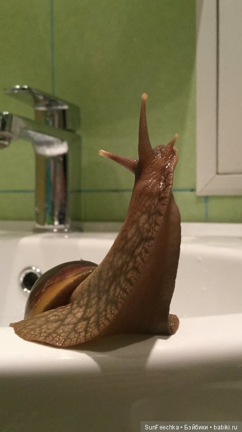 Первое знакомство: фотохудожник Ричард Паркер и его работы