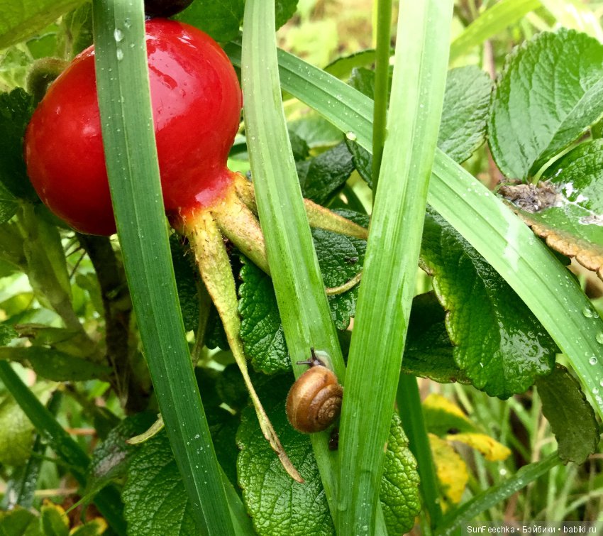 Первое знакомство: фотохудожник Ричард Паркер и его работы