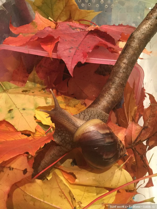 Первое знакомство: фотохудожник Ричард Паркер и его работы