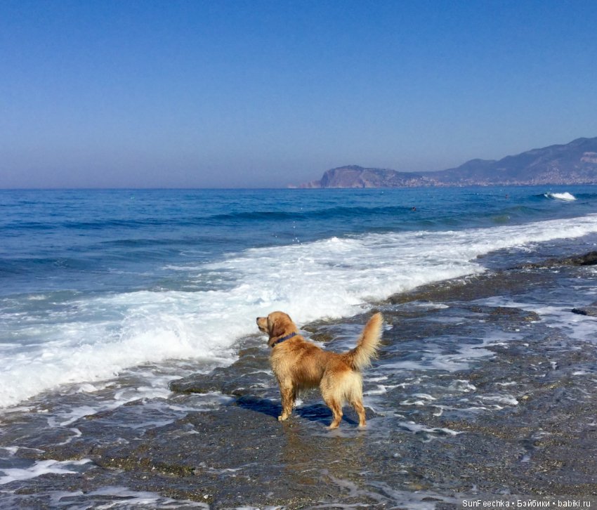 Первое знакомство: фотохудожник Ричард Паркер и его работы