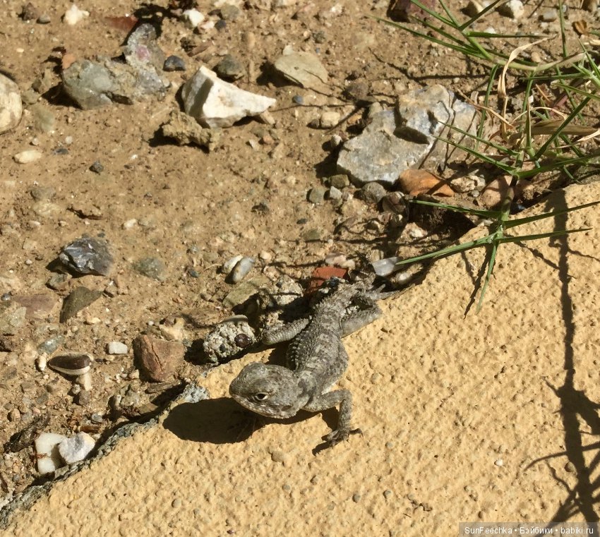 Первое знакомство: фотохудожник Ричард Паркер и его работы (фото 6)