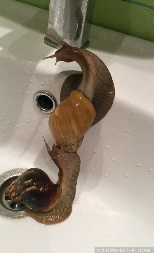 Первое знакомство: фотохудожник Ричард Паркер и его работы