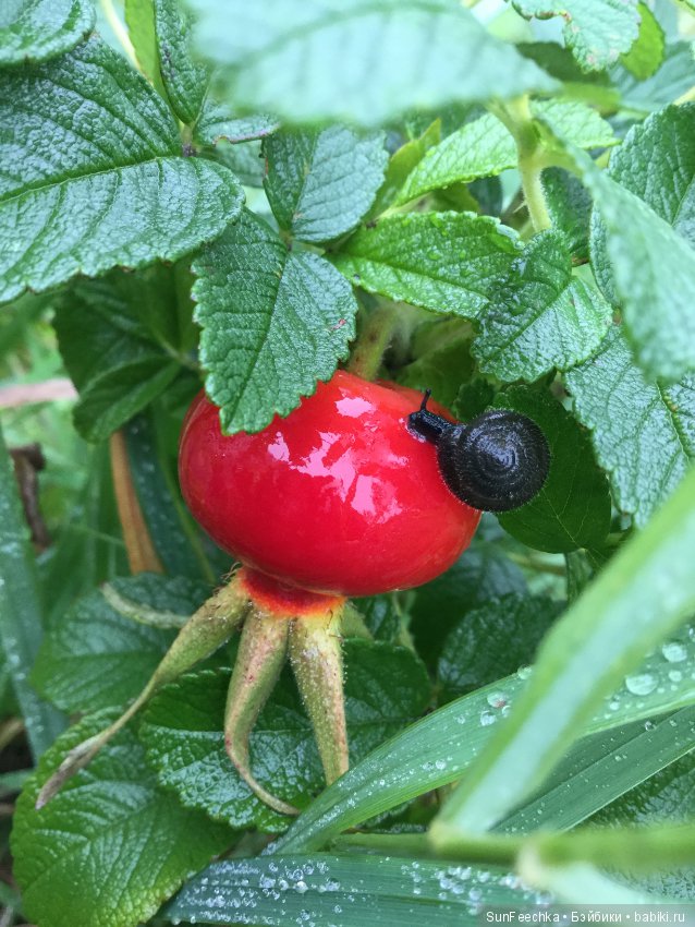 Первое знакомство: фотохудожник Ричард Паркер и его работы