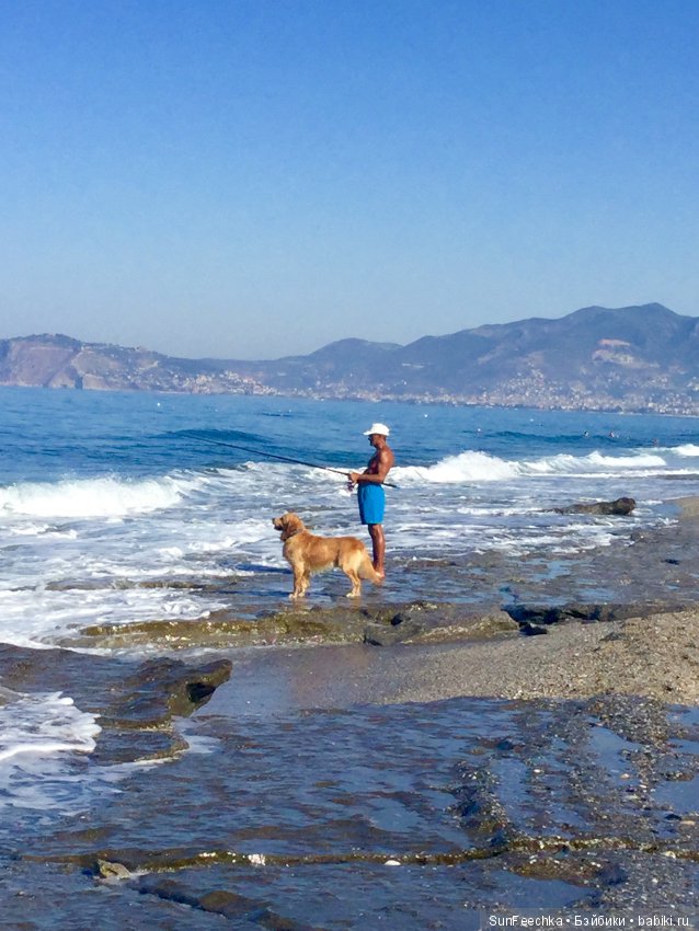 Первое знакомство: фотохудожник Ричард Паркер и его работы (фото 8)