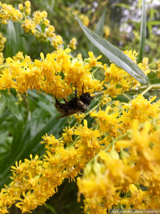 Первое знакомство: фотохудожник Ричард Паркер и его работы