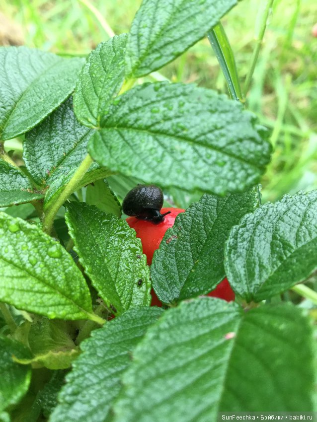 Первое знакомство: фотохудожник Ричард Паркер и его работы