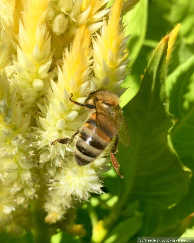 Первое знакомство: фотохудожник Ричард Паркер и его работы (фото 7)