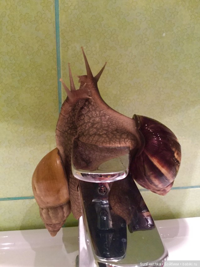 Первое знакомство: фотохудожник Ричард Паркер и его работы