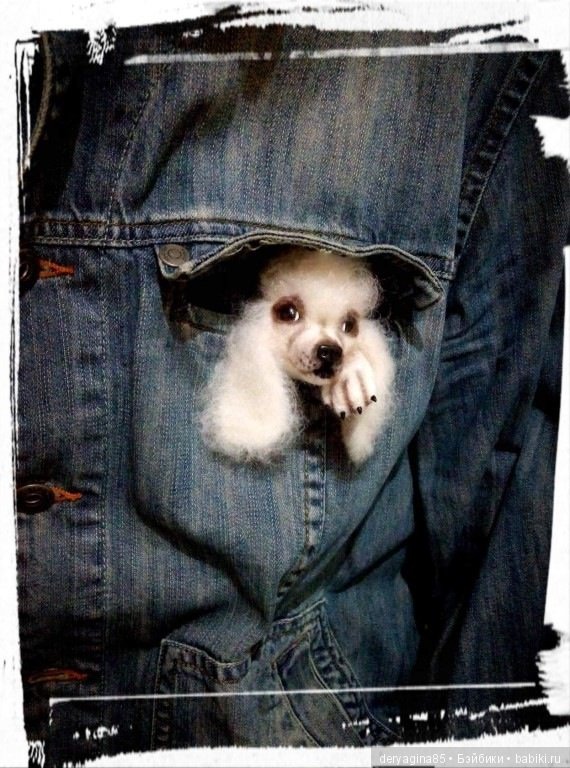 Брошь Пудель — Валяные игрушки из шерсти: сухое валяние (фото 4)