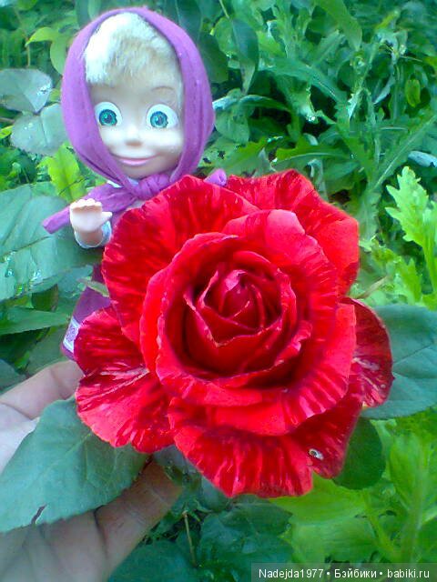 Наши Маша и Даша... Машино перевоплощение в Красную шапочку