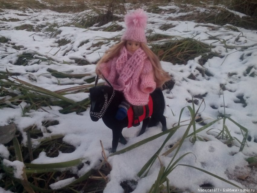 Фейт, Брин, Эвелин и их питомцы