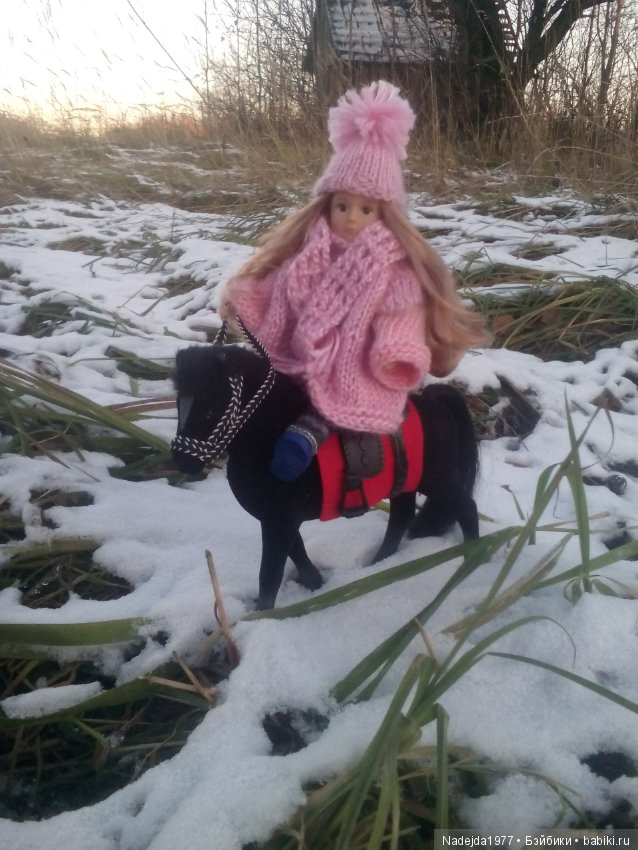 Фейт, Брин, Эвелин и их питомцы