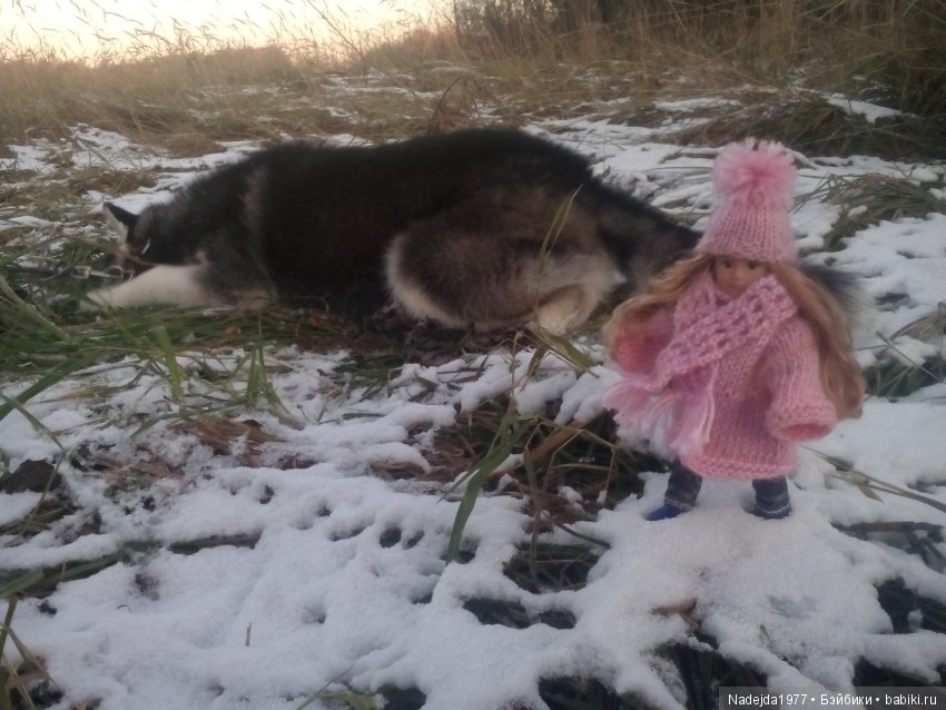 Фейт, Брин, Эвелин и их питомцы