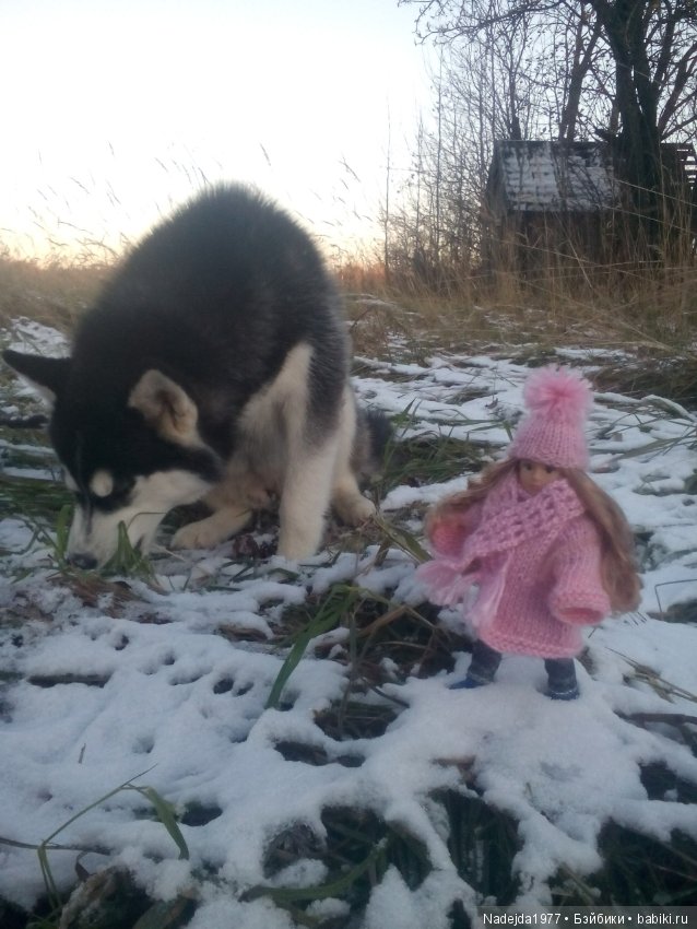 Фейт, Брин, Эвелин и их питомцы