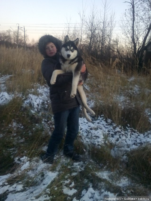 Фейт, Брин, Эвелин и их питомцы