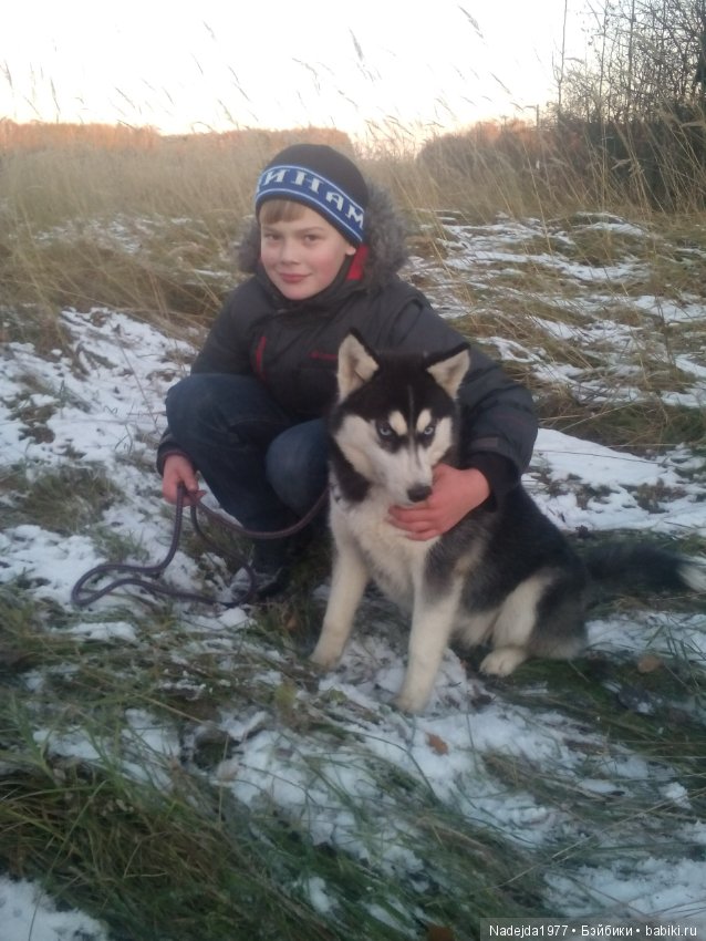 Фейт, Брин, Эвелин и их питомцы