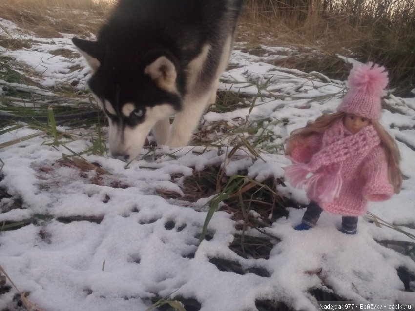 Фейт, Брин, Эвелин и их питомцы